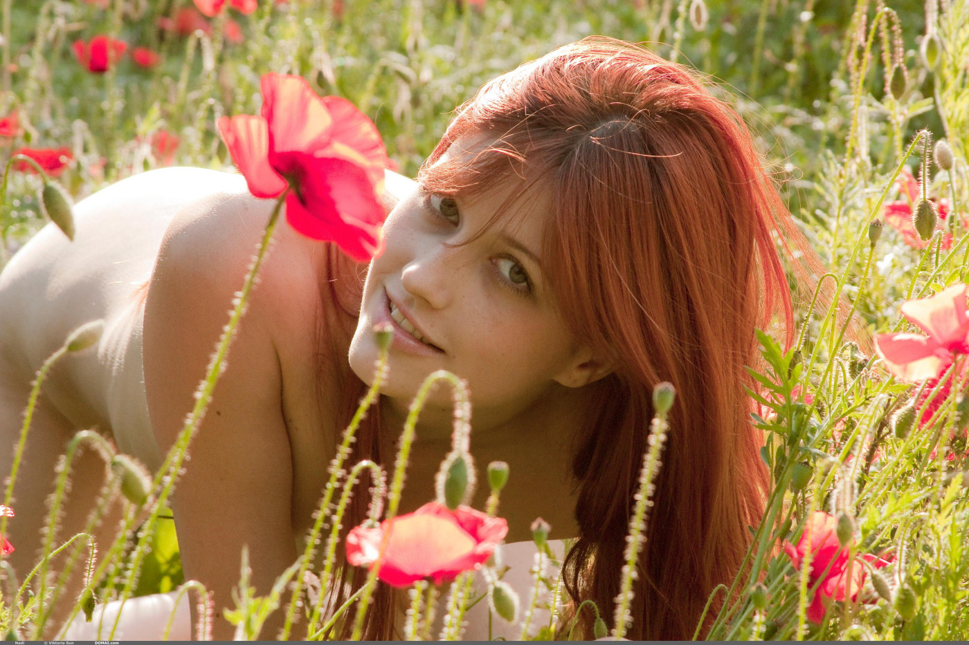 Exciting perfect body nude young tall Nadi is in the field among red flowers - 62-Domai_Nadi-2_Nadi_high_0062 from Domai