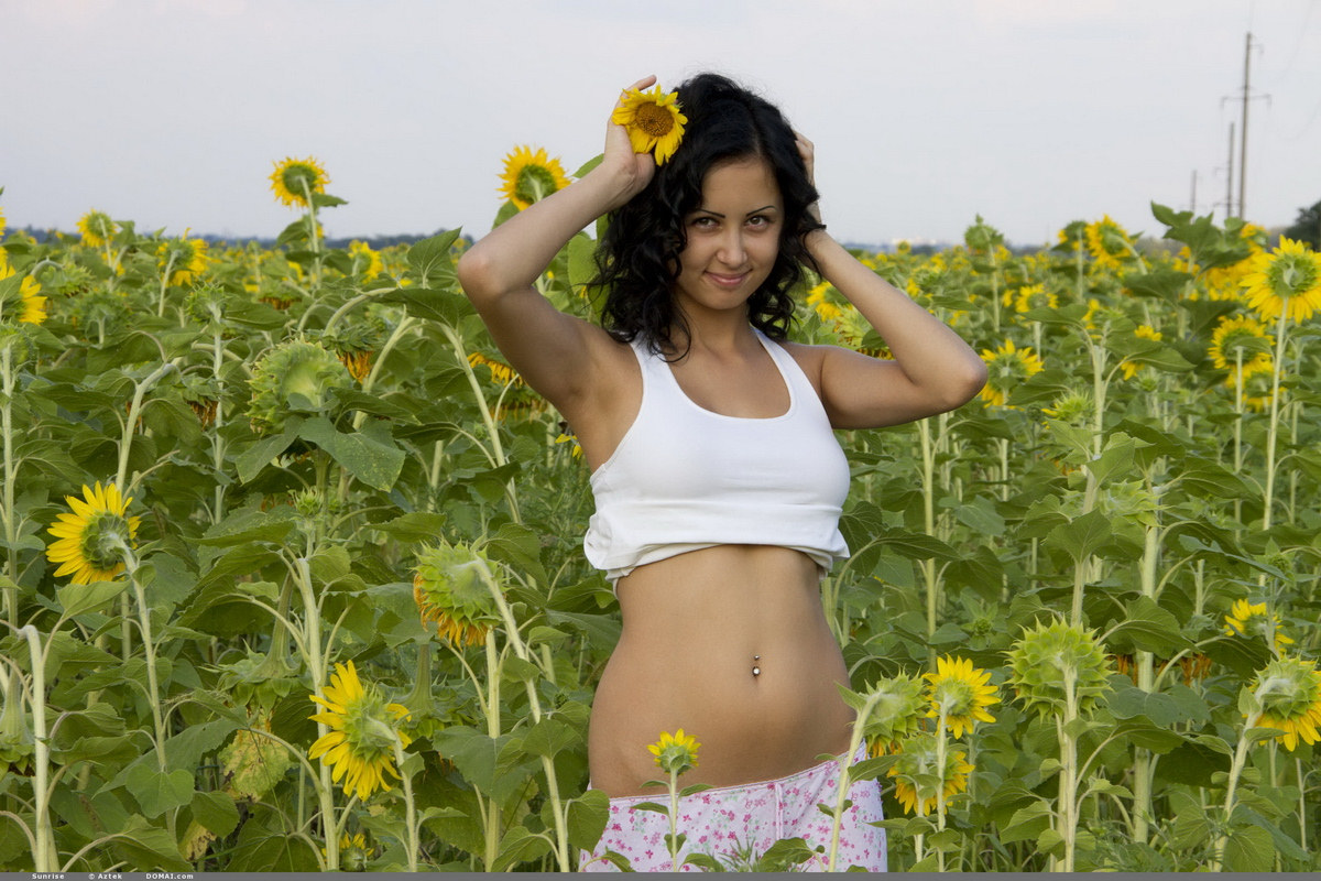 Latin babe Sunrise nude in sunflowers field - 01-02_001 from Domai