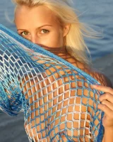 Domai - 37-aleke-5980