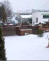 Domai - 42-bara-2-141921