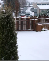 Domai - 43-bara-2-141923