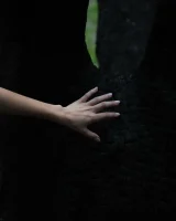 Domai - 05-Carol-1-0807