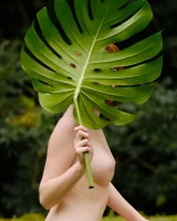 Domai - 45-Clelia-1-2847