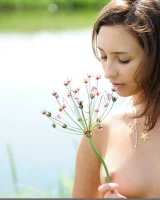 Domai - 36-dana-6628