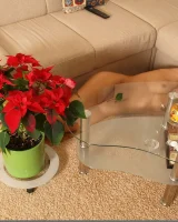 Domai - 45-dominika-2-55033