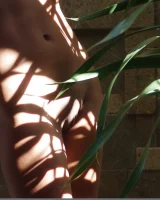 Domai - 43-ellyn-3-1048