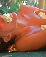 Domai - 37-gia-noma-4737