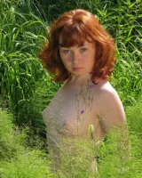 Domai - 31-Ginger-6-4540