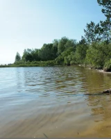 Domai - 45-ksussa-2-8552