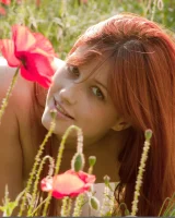 Domai - 62-Domai_Nadi-2_Nadi_high_0062