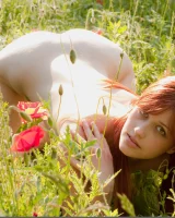 Domai - 63-Domai_Nadi-2_Nadi_high_0063