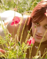 Domai - 69-Domai_Nadi-2_Nadi_high_0069