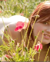 Domai - 70-Domai_Nadi-2_Nadi_high_0070